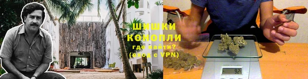 гашик Надым