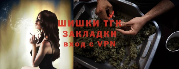 гашик Надым
