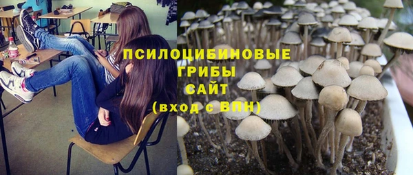 гашик Надым