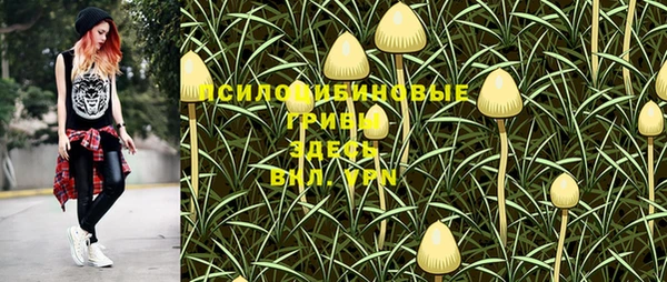 гашик Надым