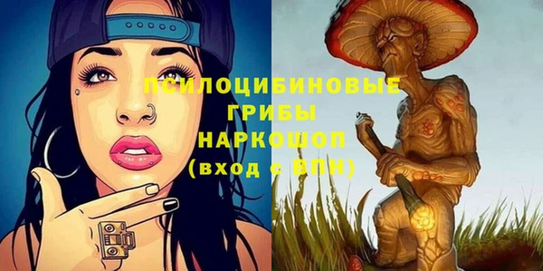 ГАЛЛЮЦИНОГЕННЫЕ ГРИБЫ Михайловка