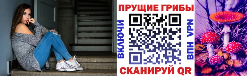 Галлюциногенные грибы ЛСД Кимовск