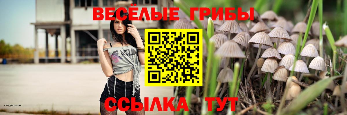 Кимовск  Псилоцибиновые грибы Magic Shrooms  Вход с VPN 