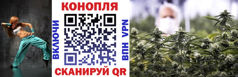 Конопля SATIVA & INDICA  Кимовск 